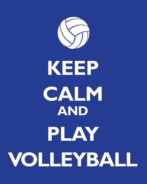 Team Volleyball Posters With Quotes. QuotesGram