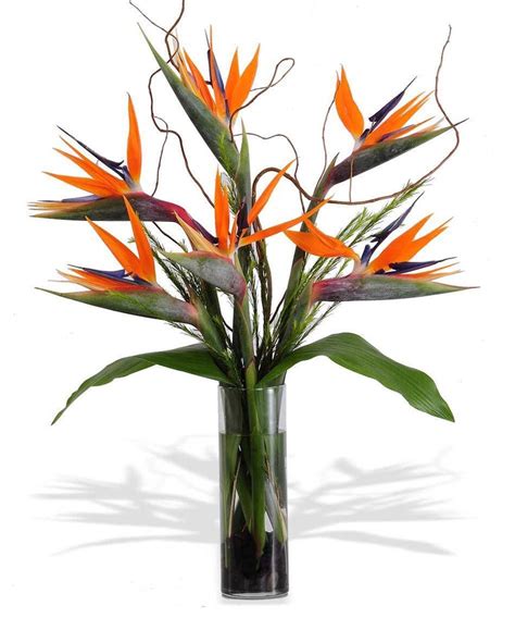 The Bird of Paradise Tropical Floral Arrangement in Minneapolis, MN - Schaaf Floral