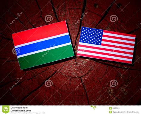 Gambian Flag with USA Flag on a Tree Stump Stock Photo - Image of gambian, history: 97962576