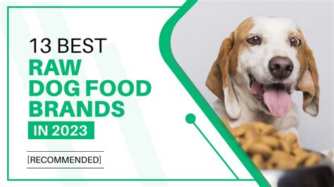 Top 13 Best Raw Dog Food Brands - Healthy Nutrition For Your Pet