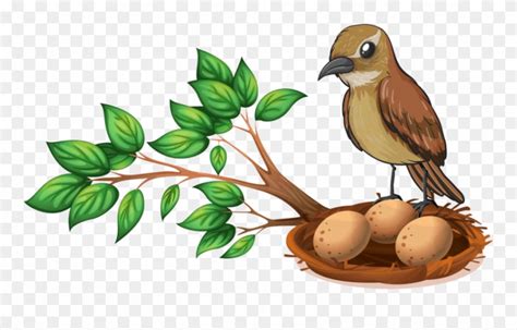 bird nest clipart 20 free Cliparts | Download images on Clipground 2024