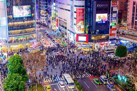 Sensation of Crossing "Shibuya Crossing" in Tokyo ~ All Tutorials | Share It