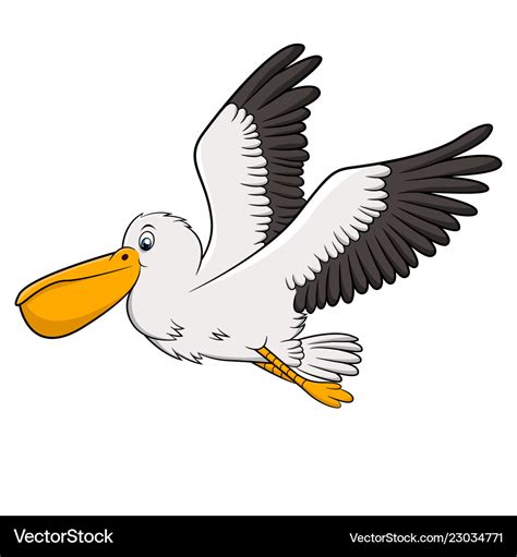 Pelican cartoon drawing Royalty Free Vector Image