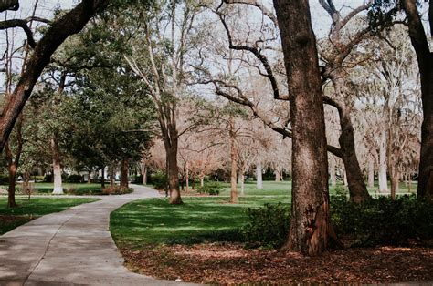 Forsyth Park in Savannah, Georgia - Wandering Why Traveler