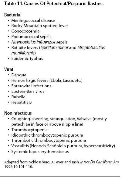 Cause Of Petechial Rash In Adults - prioritymission