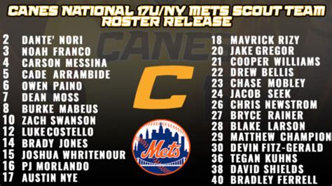 2023 Canes National/NY Mets Scout Team 17U Roster Release – Canes Baseball