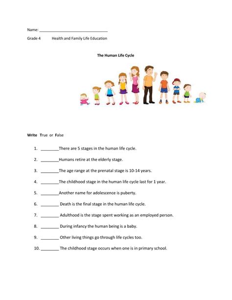 Human Life Stages worksheet | Human life cycle, Education, Teaching vowels