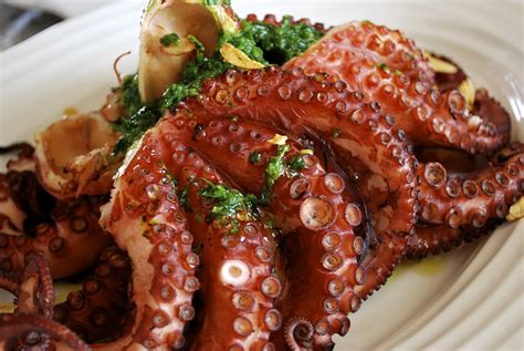 octopus | Salt of Portugal