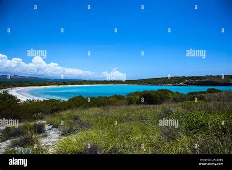 Playa Sucia Circular Beach with the background of Puerto Rico's lush ...