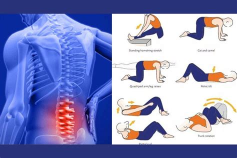 The Purpose of Lower Back Pain Exercises