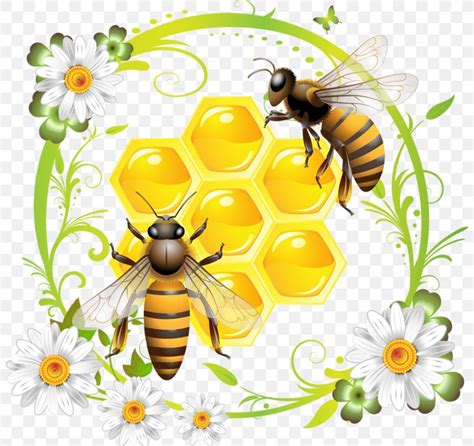 Western Honey Bee Honeycomb Clip Art, PNG, 800x773px, Bee, Arthropod, Bee Pollen, Beehive ...