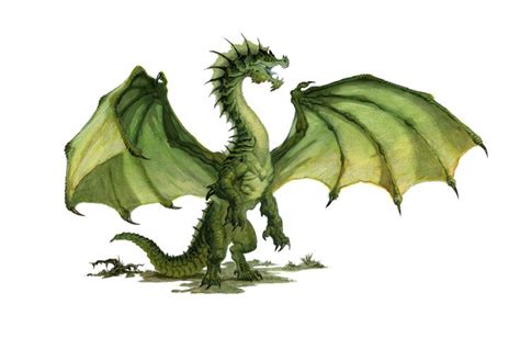 Green dragon in 2020 | Green dragon, Dnd dragons, Fantasy dragon