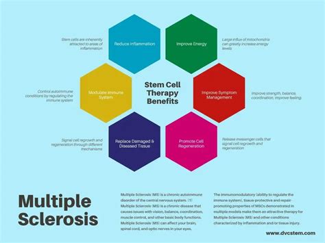 Stem Cell Therapy: An MS Breakthrough in 2023?