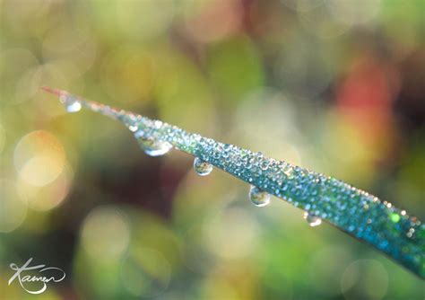 Rainbow Bokeh by KamenGregorich on DeviantArt