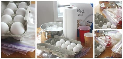 Egg Drop Activity and Classic STEM Challenge for Kids