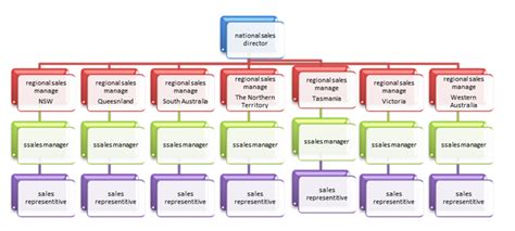 Austvending Sales Team Structure - 2479 Words | Essay Example