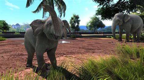 Zoo Tycoon Ultimate Animal Collection PC CD Key, Key - cdkeys.com