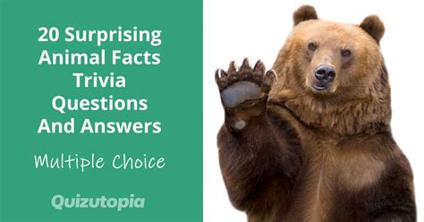 20 Surprising Animal Facts Trivia Questions And Answers (Multiple Choice) - Quizutopia