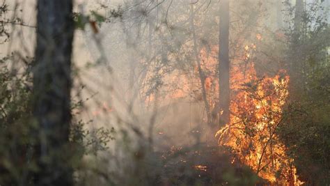 Louisiana wildfire operation center