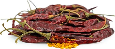 Dried Arbol Chile Peppers Information, Recipes and Facts