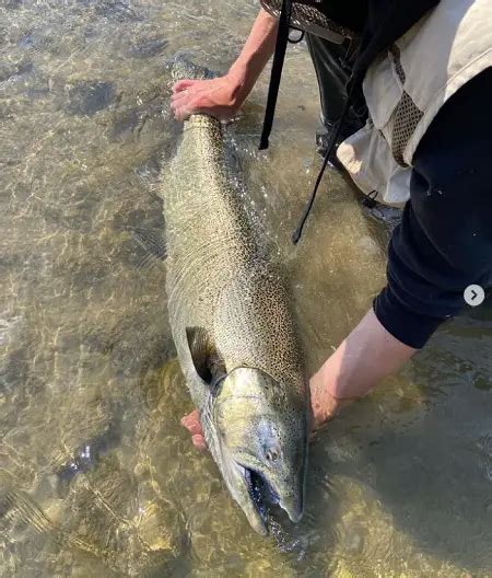 Fishing The Salmon River Idaho: A Complete Guide - Trout Steelhead And Salmon Experts