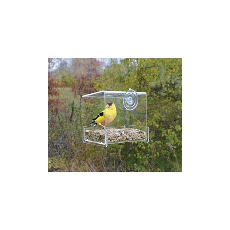 Clear View Mini Window Bird Feeder