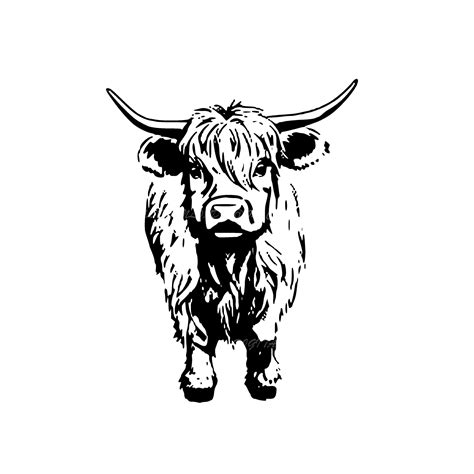 Highland Cow SVG Cow With Flowers SVG Floral Cow Head SVG - Etsy