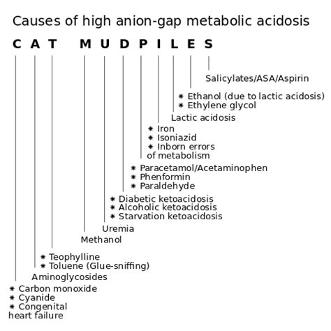 File:Cat mudpiles - causes of high anion-gap metabolic acidosis.svg - Wikipedia