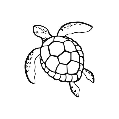 Drawing Of A Turtle Outline Tattoo Illustrations, Royalty-Free Vector ...