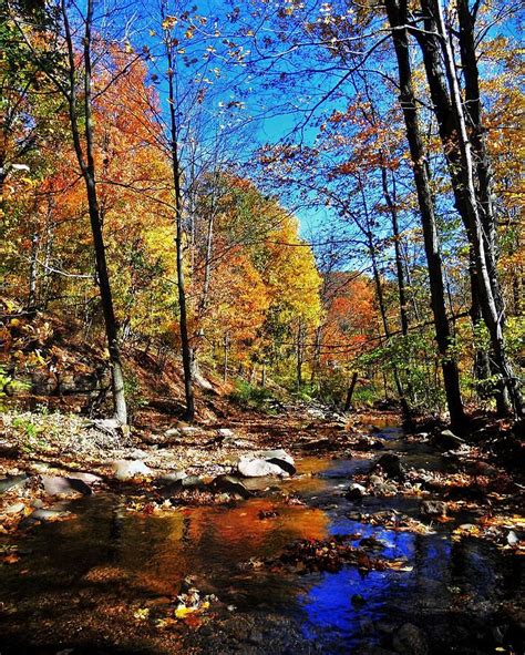 81 best images about Fall in Pennsylvania on Pinterest | Parks, Waterfalls and State parks