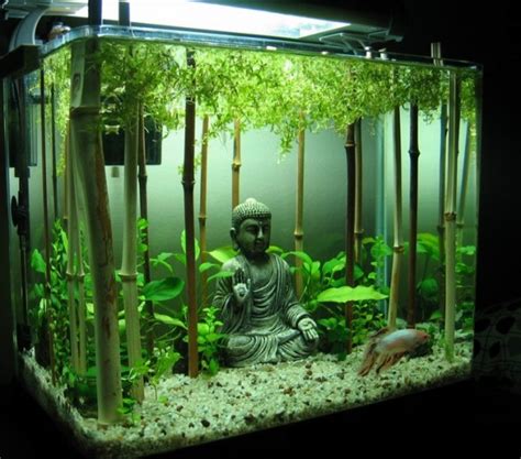 Top 10 Amazing and Unusual Themed Fish Tanks