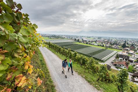 Rhine Valley Wine Trail • Nature Trails » outdooractive.com