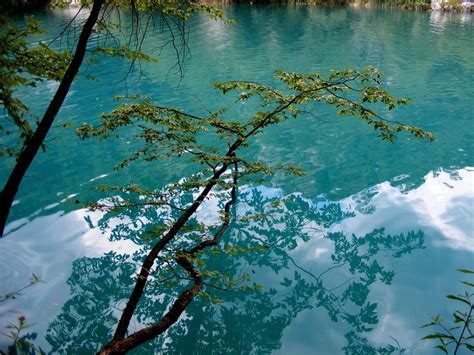 Free photo: Reflection in the Lake - Flow, Lake, Reflection - Free ...