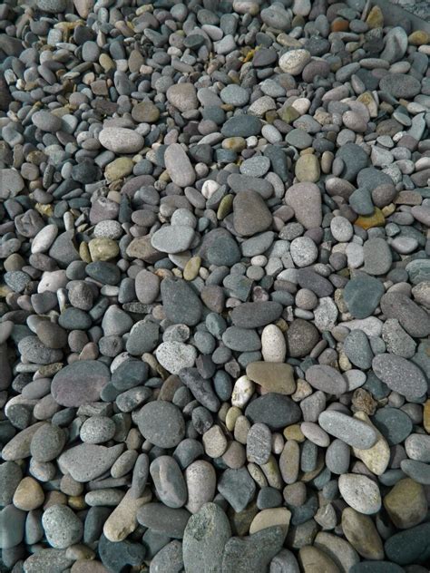 Mesa Grey River Cobble – Bedrock Landscaping