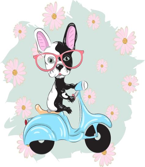 Premium Vector | Cute dog on cartoon hand drawn bike