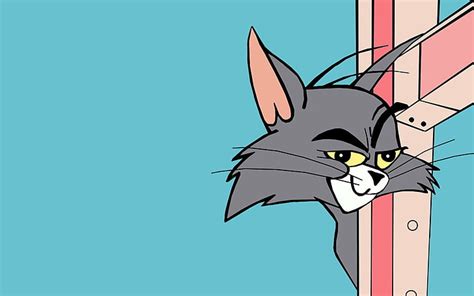 2560x1440px | free download | HD wallpaper: Tom from Tom and Jerry ...