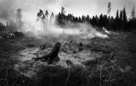 Zombie fires – weird phenomenon is becoming a norm - Yesselman.com