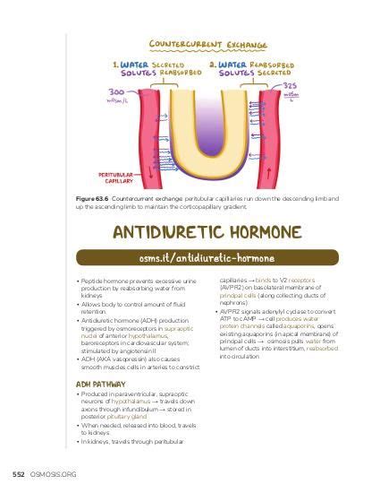 Osmoregulation | Osmosis