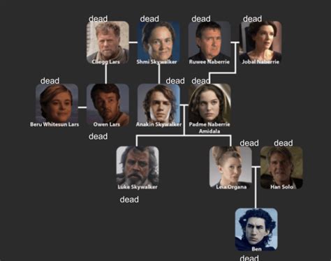 the state of the Skywalker family tree by the end of "rise" of ...