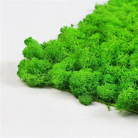 High Simulation Wholesale Preserved Artificial Moss Mat For Interior Decoration - Buy Wholesale ...