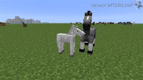 Horses, Donkeys and Mules | Minecraft 101