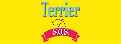 Terrier SOS