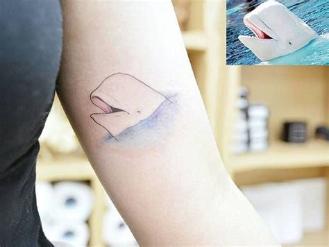 Beluga whale tattoo on the left inner arm. | Left arm tattoos, Tattoos, Inner arm tattoos