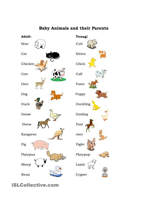 Baby Animals | Teaching English | Pinterest | Baby animals