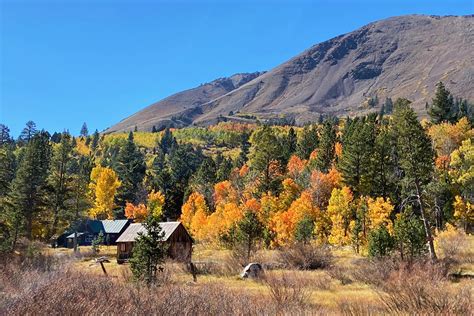 Autumn Ablaze in Hope Valley - Sacramento Valley