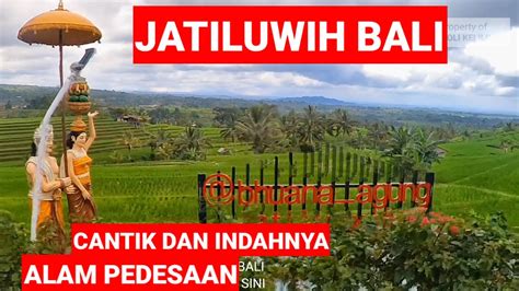 ALAM PEDESAAN DI BALI CANTIK DAN INDAHNYA JATILUWIH BALI - YouTube