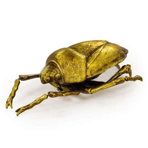 Gold Beetle Wall Art - 29cm