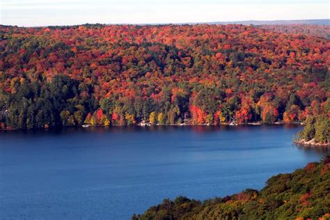 Fall Colors at Algonquin Park and Oxtongue Lake
