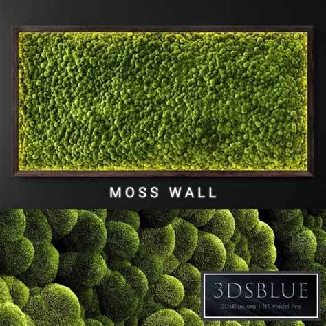 Moss wall 2