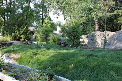 Detroit Zoo - Giant Anteater habitat - Summer, 2016 - ZooChat